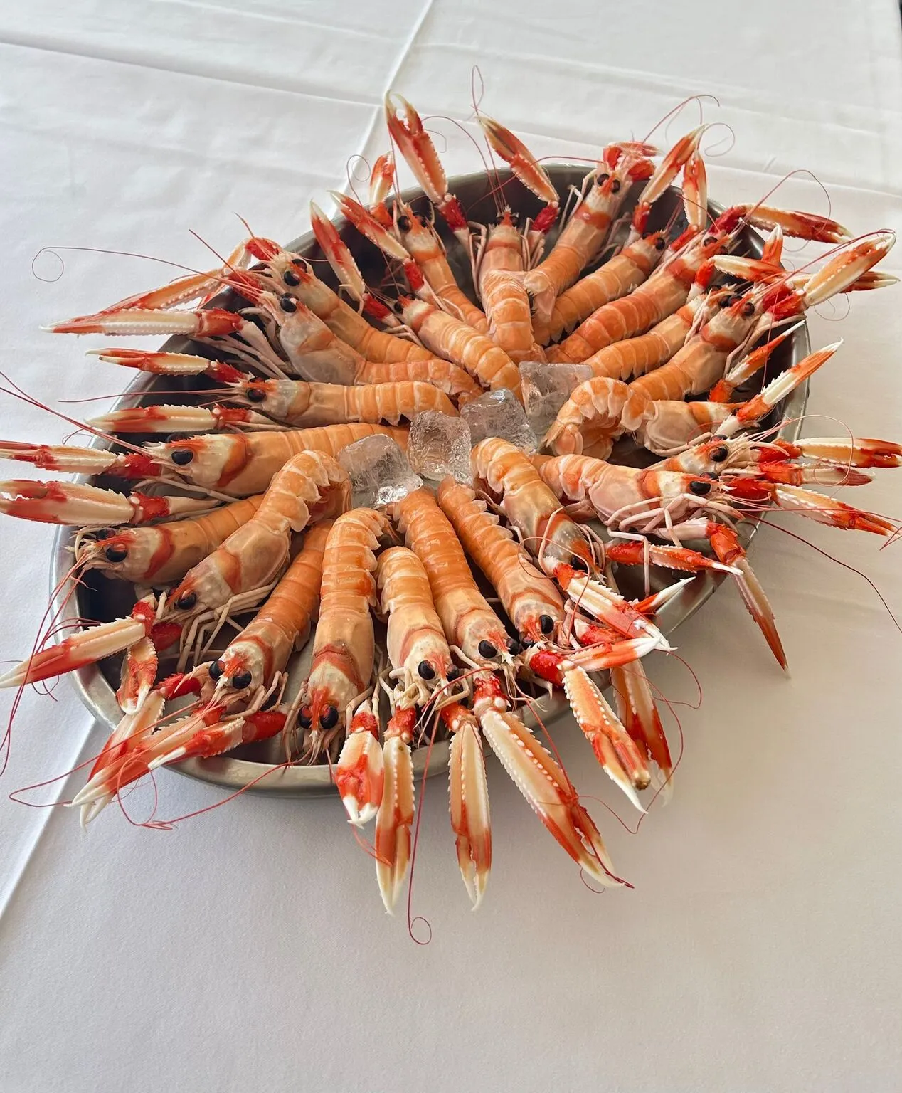 Comida mediterránea preparada con productos frescos